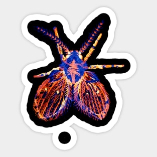 Drain Fly 2 Sticker